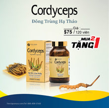 Load image into Gallery viewer, CORDYCEPS CAPSULES - Đông Trùng Hạ Thảo Dạng Viên (Buy 2 Get 1 Free)